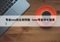 专业seo优化如何做（seo专业优化服务）