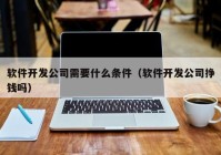 软件开发公司需要什么条件（软件开发公司挣钱吗）