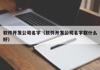 软件开发公司名字（软件开发公司名字取什么好）