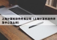 上海计算机软件开发公司（上海计算机软件开发中心怎么样）