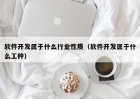 软件开发属于什么行业性质（软件开发属于什么工种）